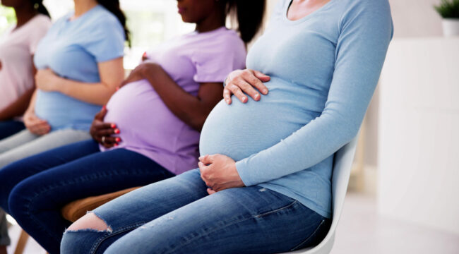 Pregnant Woman Group In Row. Young Mothers